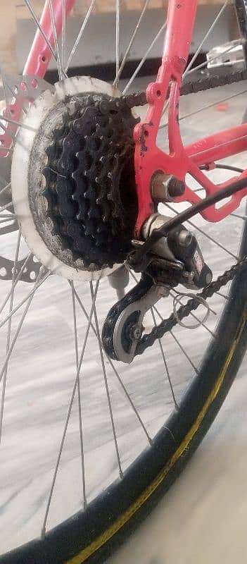 MOUNTAIN CYCLE 1
