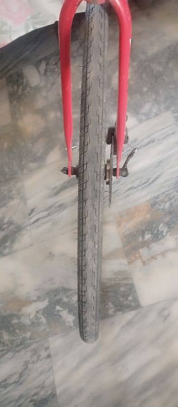 MOUNTAIN CYCLE 3