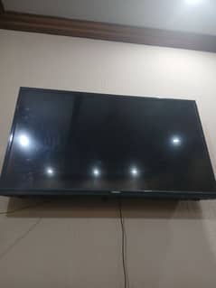 43 inch