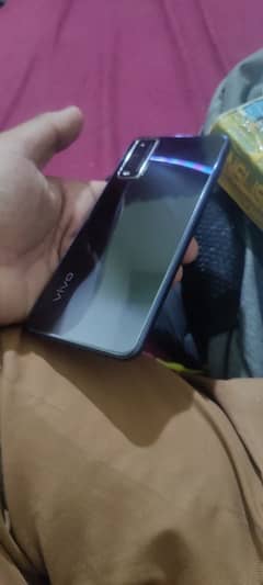 vivo