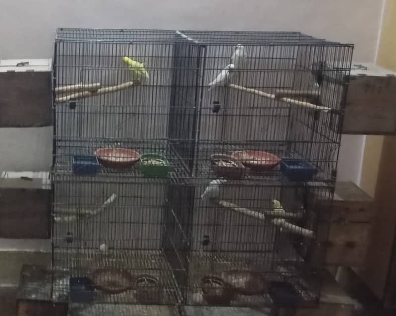4 portion 1.5 by 1.5 cage for sale 0