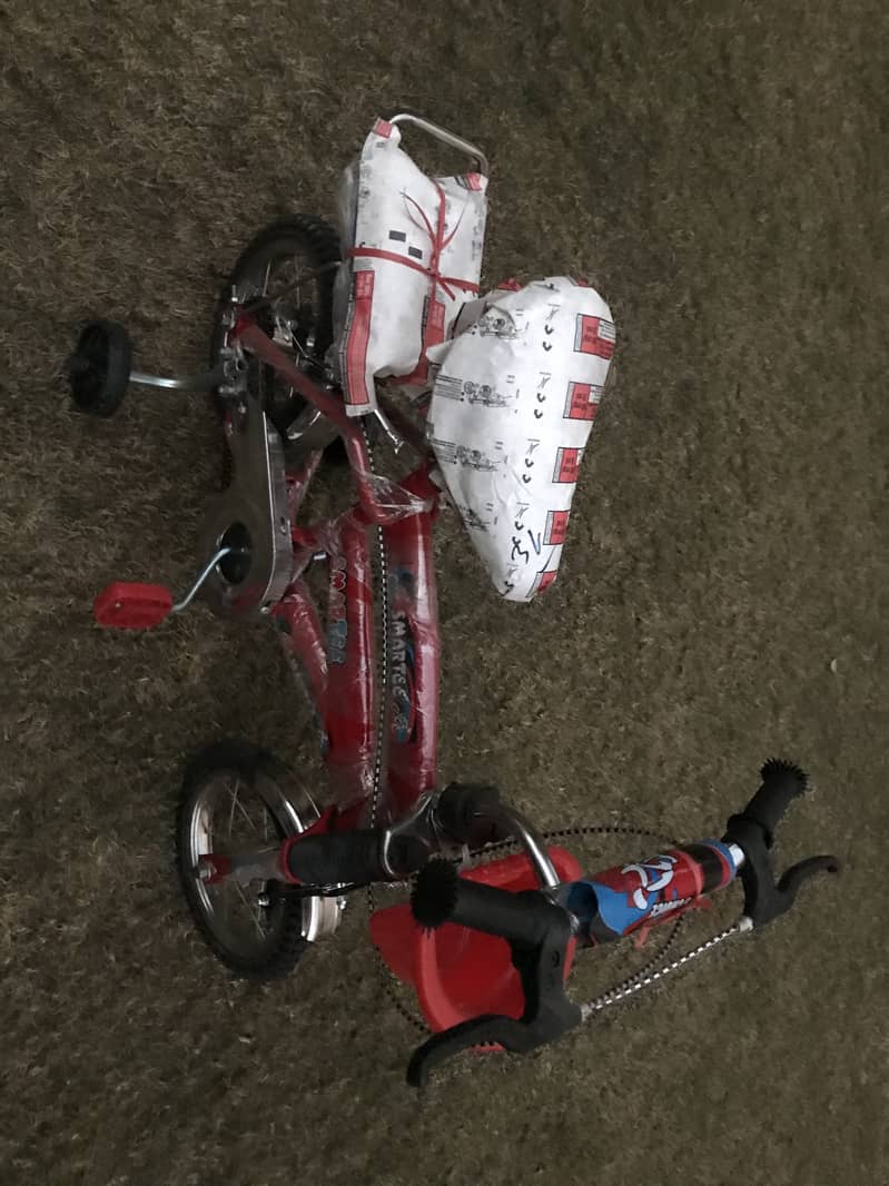Kids 12 inches cycle brandnew 4
