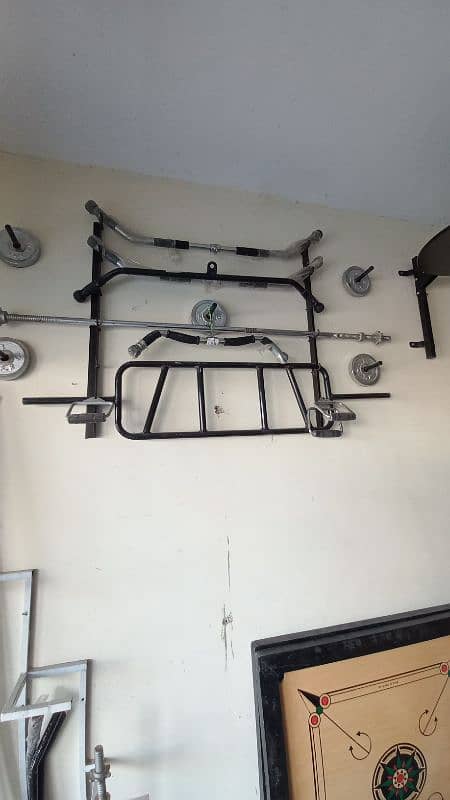 Rubber dumbbell rubber plates plate pull up bar twister olympic gym 6