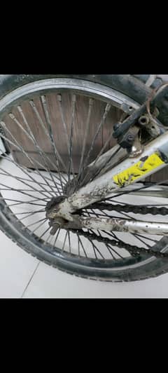 Cycle