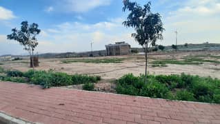 Sector