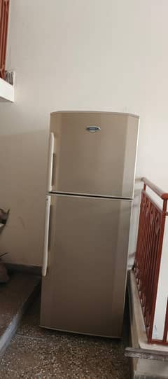 Large