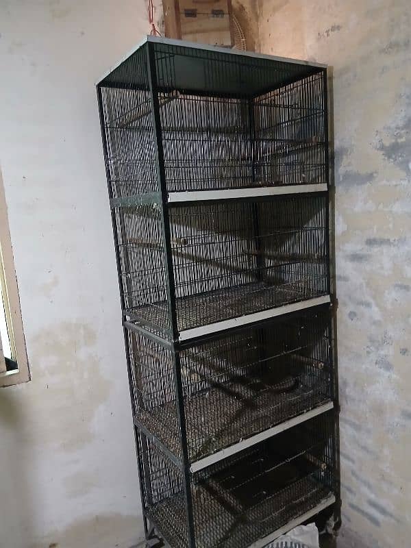 birds cages 0