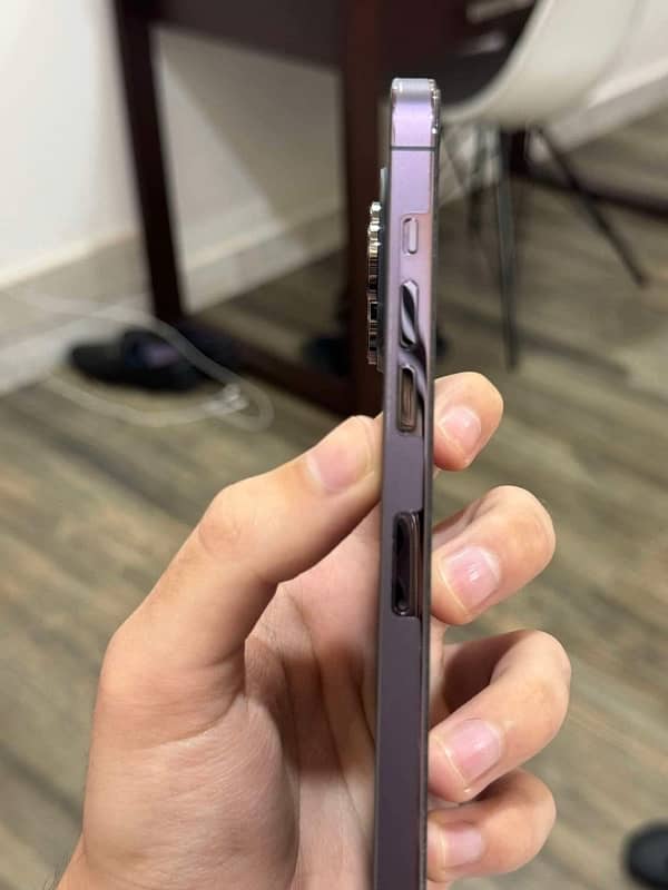 14 pro max lush condation 1