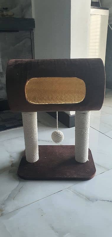 Cat House 0
