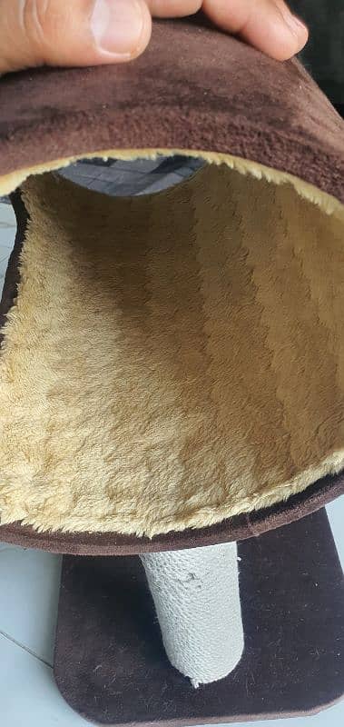 Cat House 1