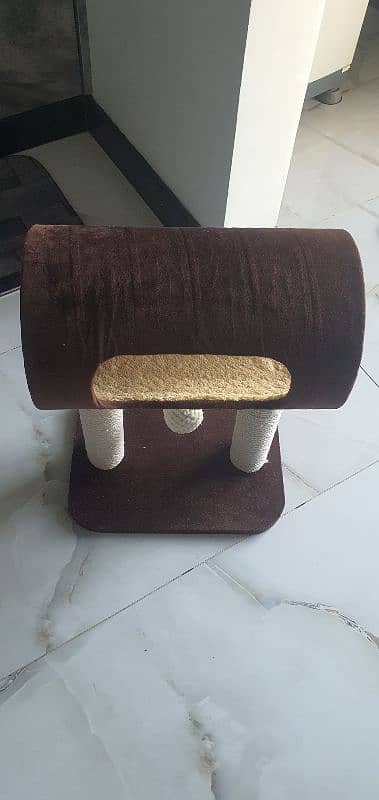 Cat House 2