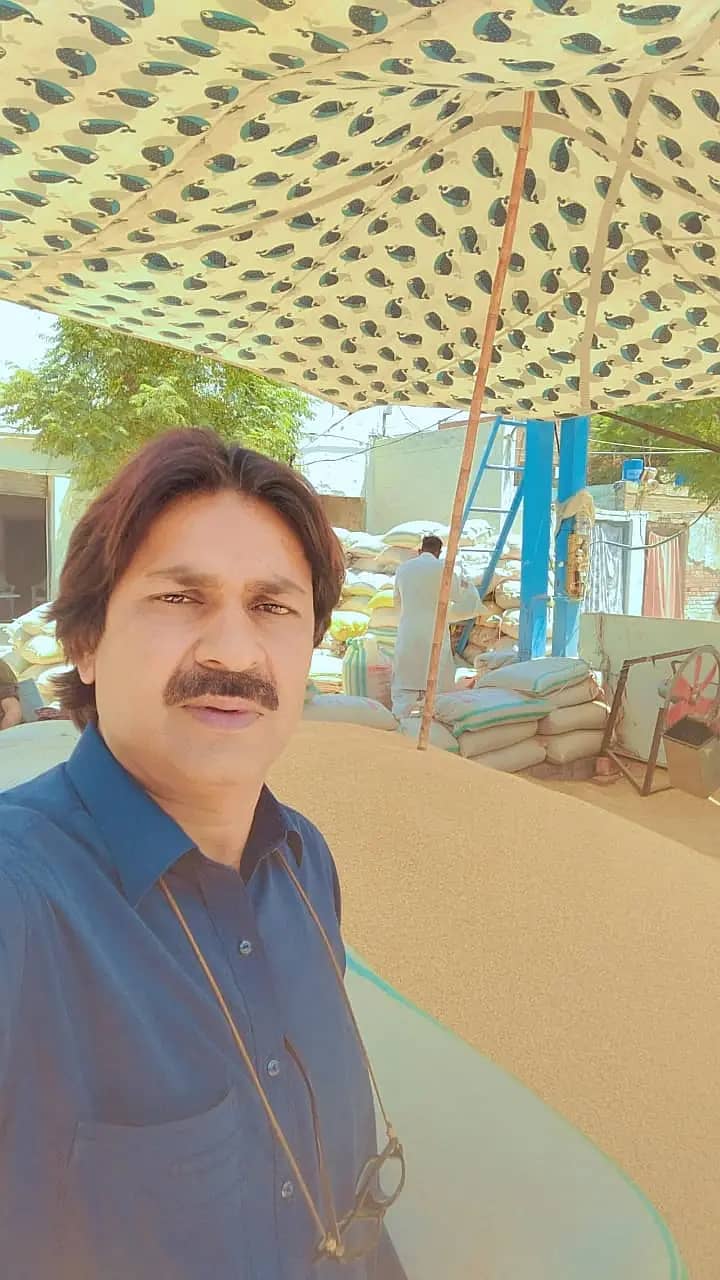 gandum/saaf gandum/pure gandum 9