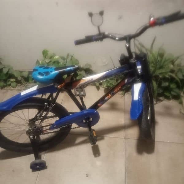 bicycle for 9 to 10 years 0
