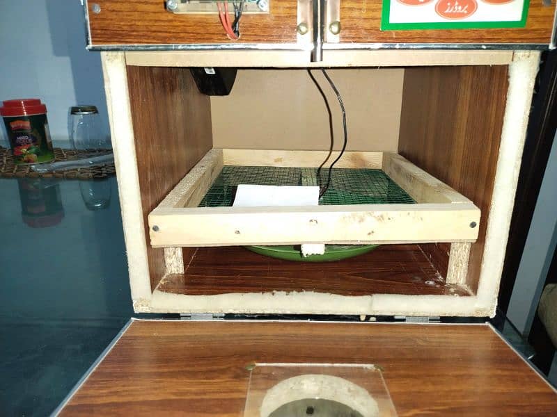 Manual Incubator 3