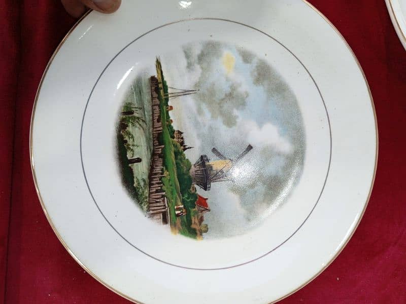 decor Plates (Like new) 7