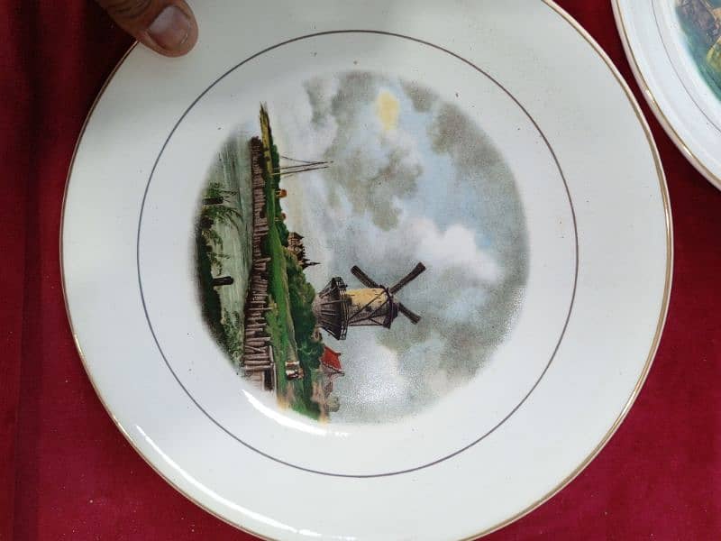 decor Plates (Like new) 9
