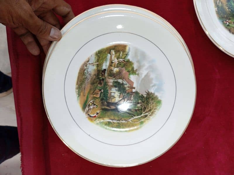 decor Plates (Like new) 10
