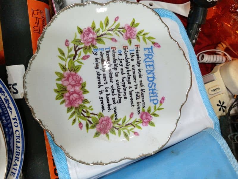 decor Plates (Like new) 11