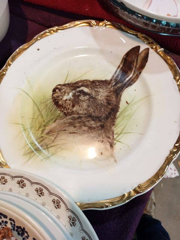 decor Plates (Like new) 15
