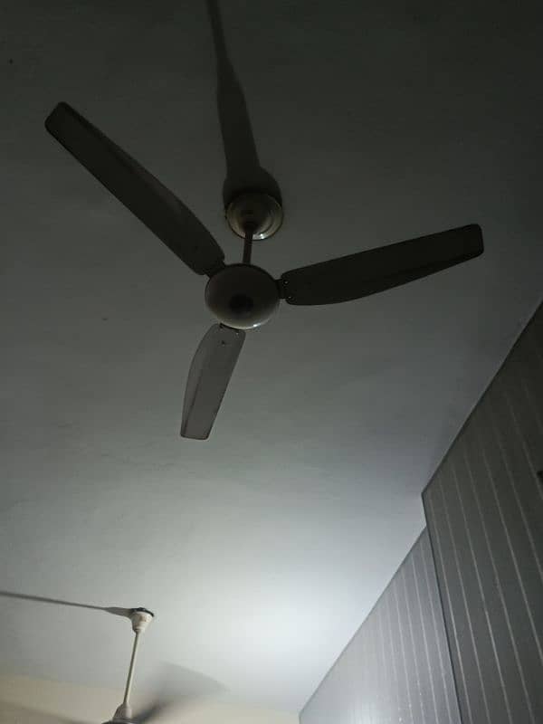 GFC fan 1