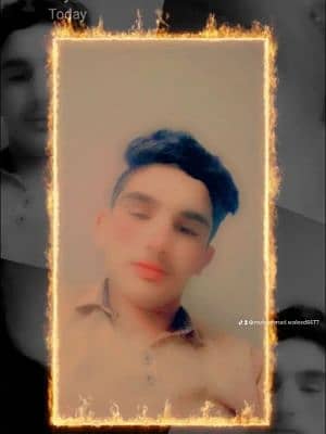 Muhammad Waleed