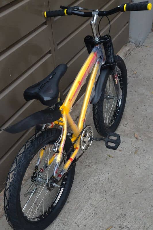 new cycle Goodwin 1