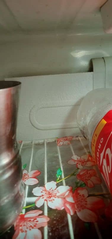 dowlance fridge 3