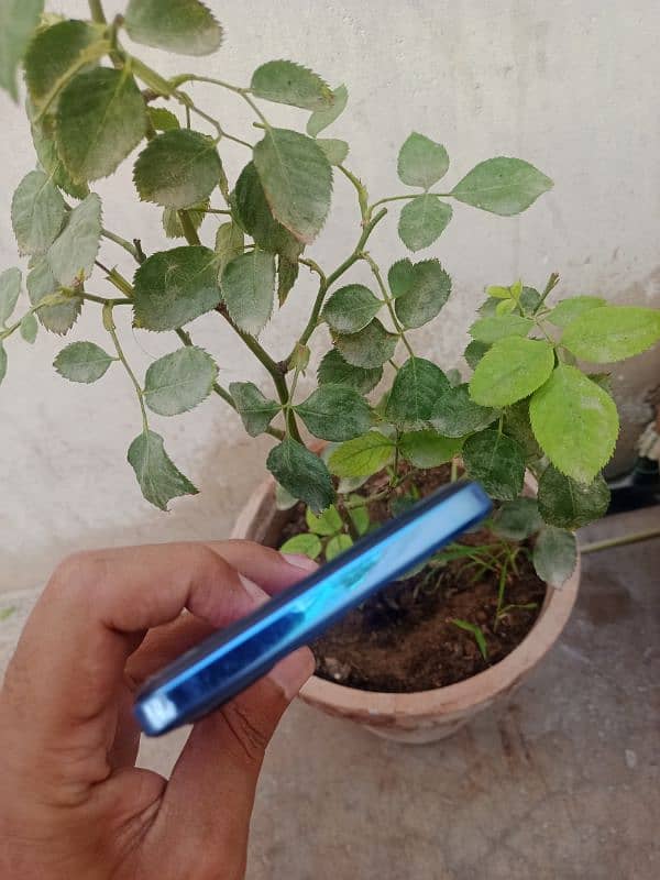 Tecno spark 10c 4+4/128 sealed 100% 4