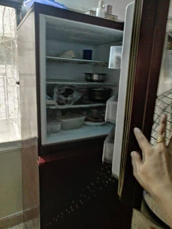 "PEL Double Door Refrigerator, Fast Cooling & Stylish" 0
