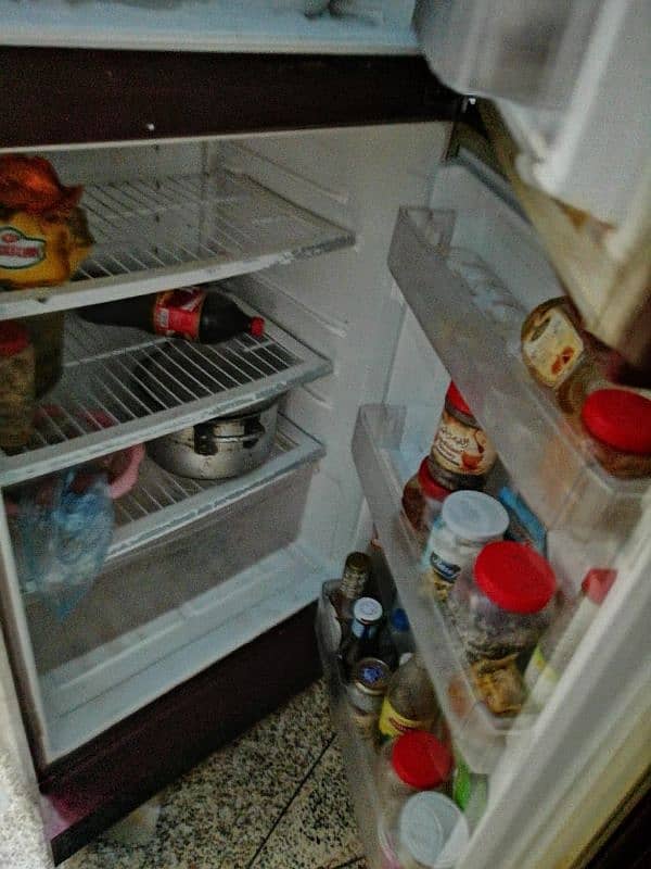 "PEL Double Door Refrigerator, Fast Cooling & Stylish" 2