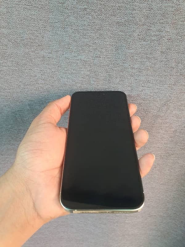 15 pro max 256GB - jv - with box 4