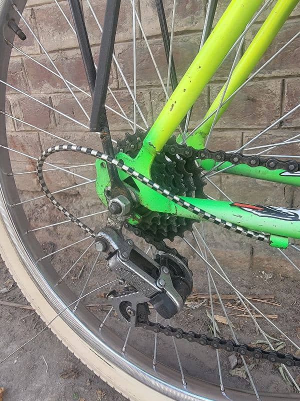 Wheeler Cycle 4
