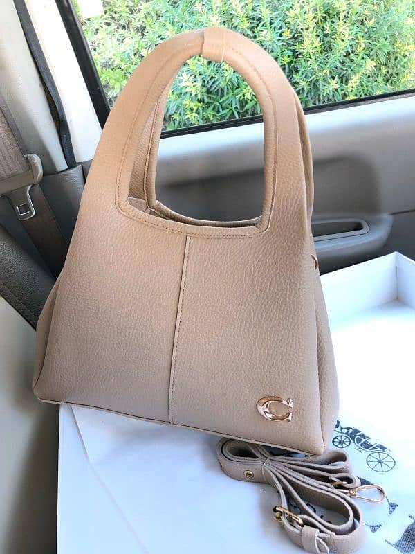 Ladies handbag 1