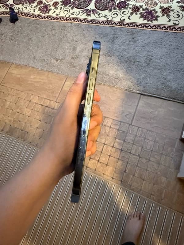 iphone 12 pro max 256 gb 5