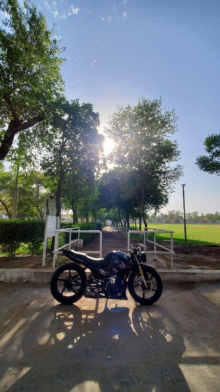 Yamaha ybr G fully Modified 1