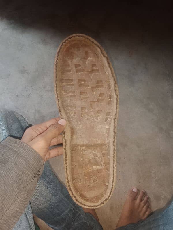 shoe sole cat Brand USA 2