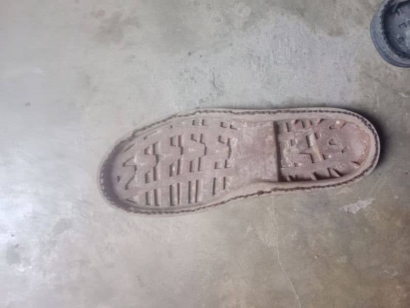 shoe sole cat Brand USA 3