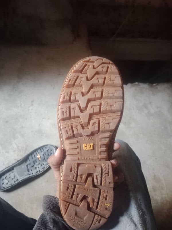 shoe sole cat Brand USA 7