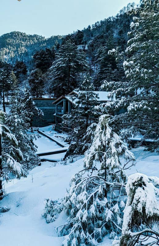 Best Rental Hotel Suite in Radisson BLU Murree Patriata Available for sale 2025 0