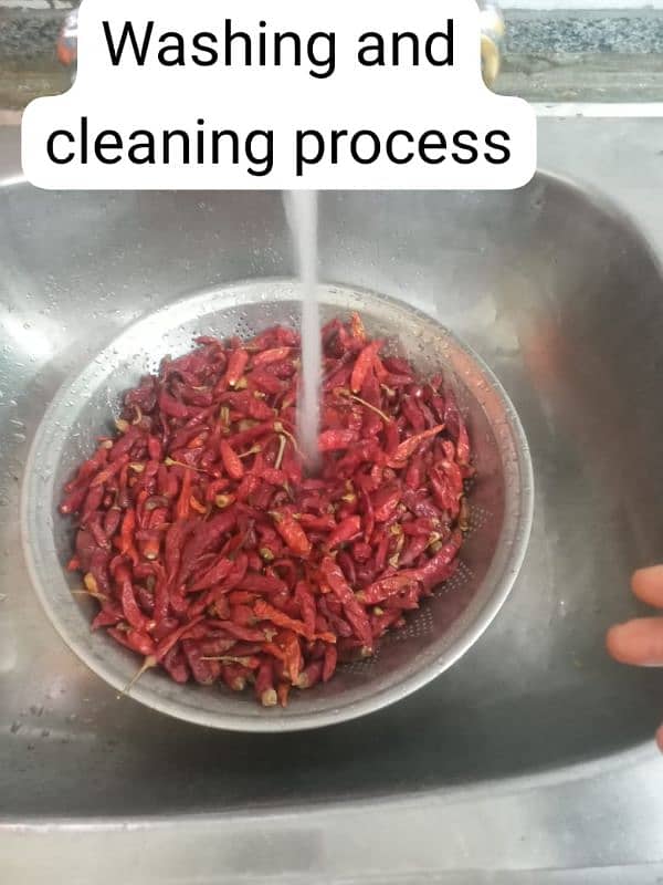 CHILLI POWDER 2