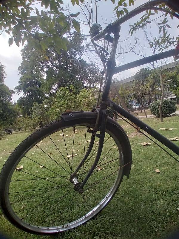 OLD IS GOLD, 24 inch. Sohrab 2