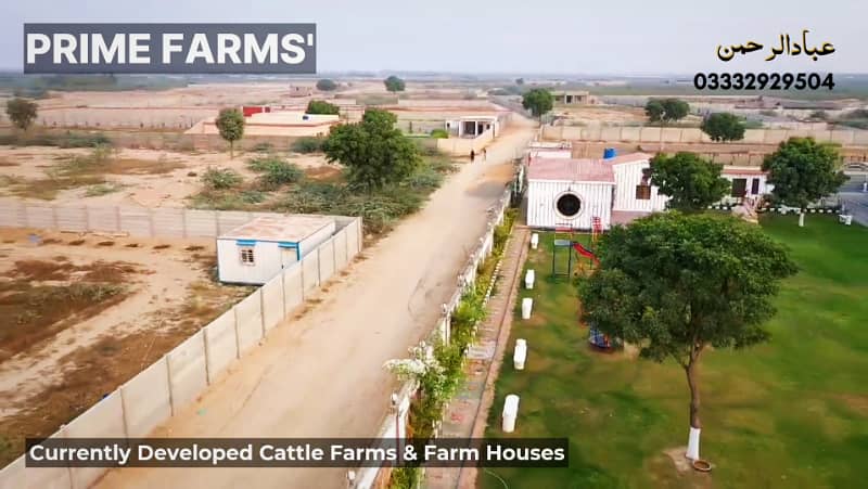 Cattle Farm Plots Farm House Plots 0