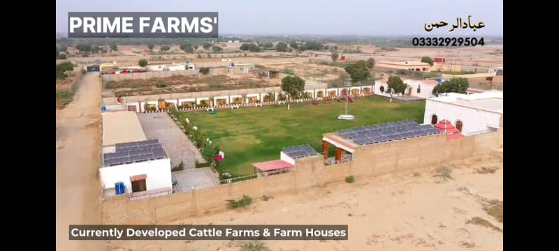 Cattle Farm Plots Farm House Plots 1