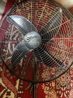 Rado Bracket Fan
