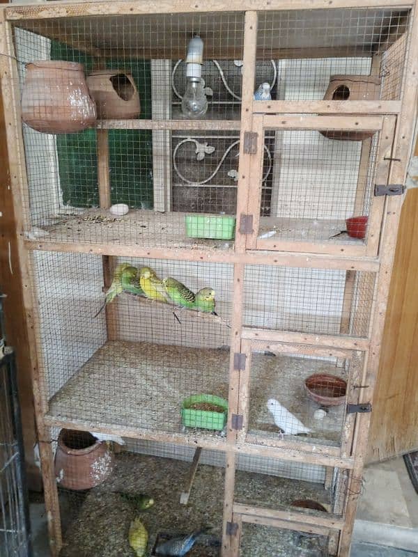 Australian parrots for sale with 3 portions wooden cage 2