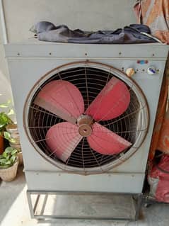 Used
