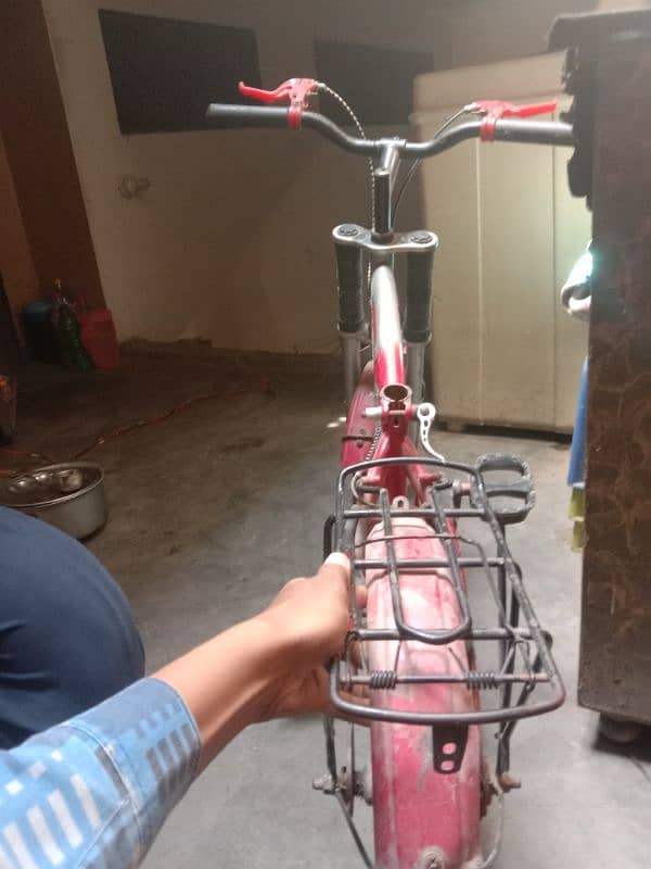 03298164613 2