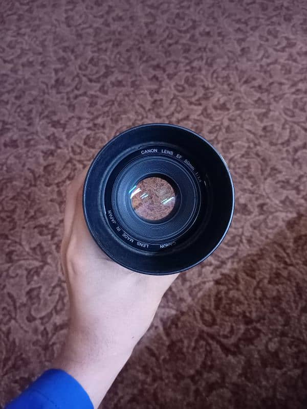 Canon 50mm 1.4 1
