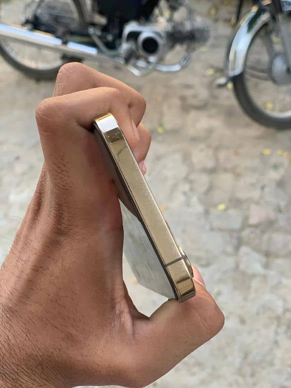 Iphone 12 pro max JV 2
