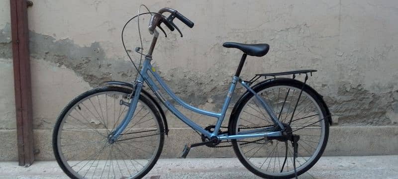 Japanese_cycle_size_24 3